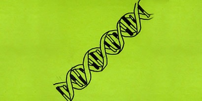 2. James Watson and Francis Crick illuminated the structure of life