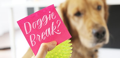 molly Jacques post-it inspiration
